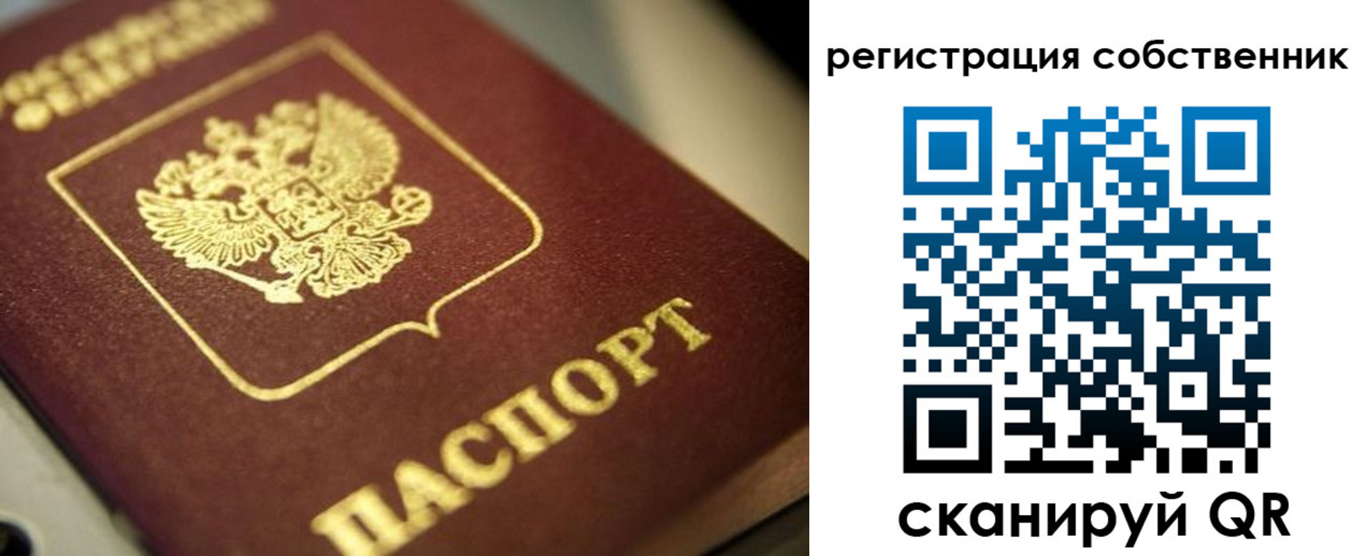 прописка в Подольске